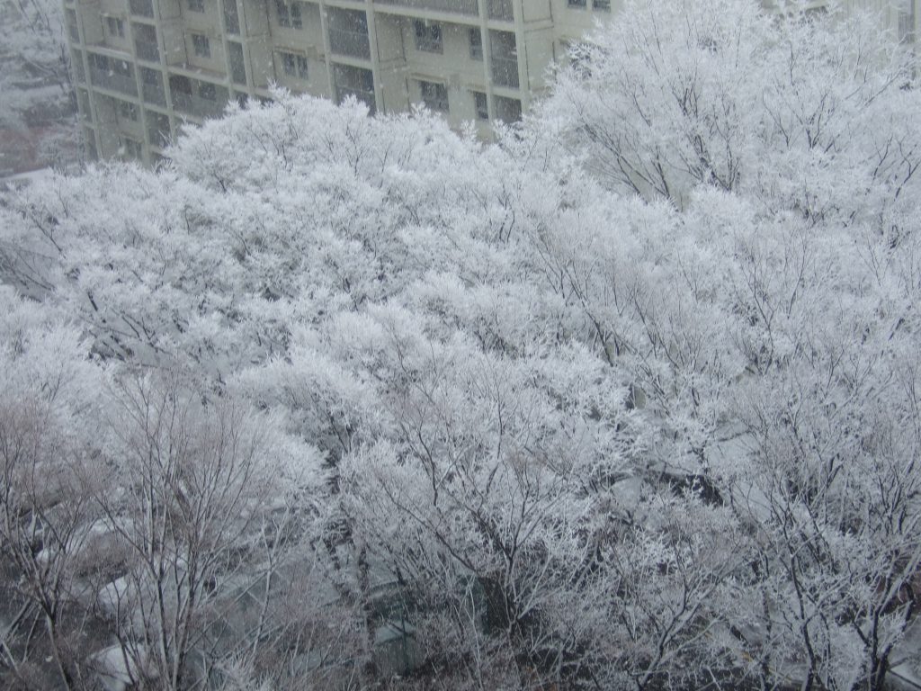 関東圏の積雪